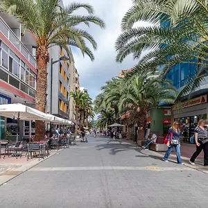 https://flatguest-central-city.in-canary-islands.com